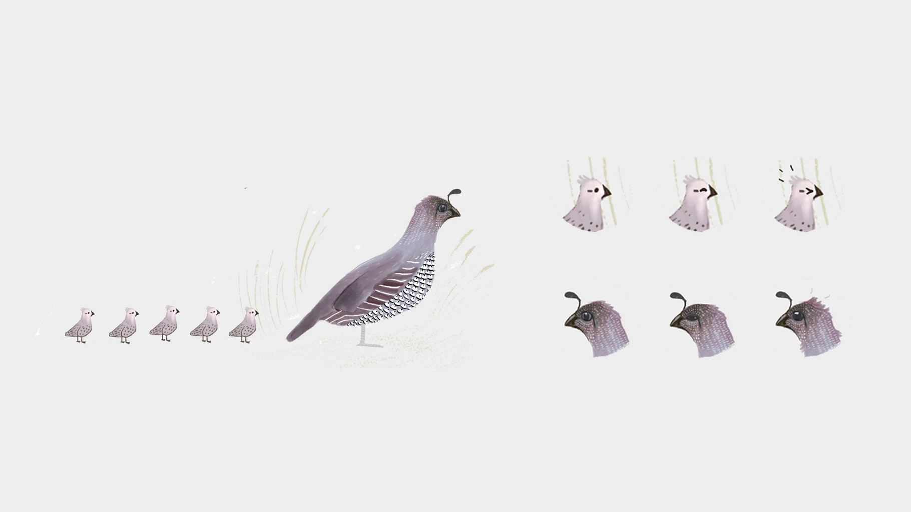 My Little Storybook media 6